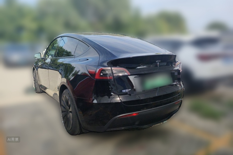 Tesla Model Y 2021 car image #5