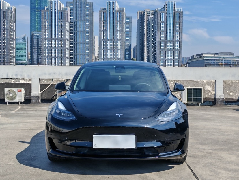 Tesla Model 3 2023 #2 Tesla Model 3 2023 car image #2