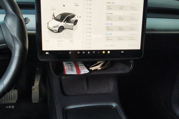 Tesla Model Y 2023 #15 Tesla Model Y 2023 car image #15