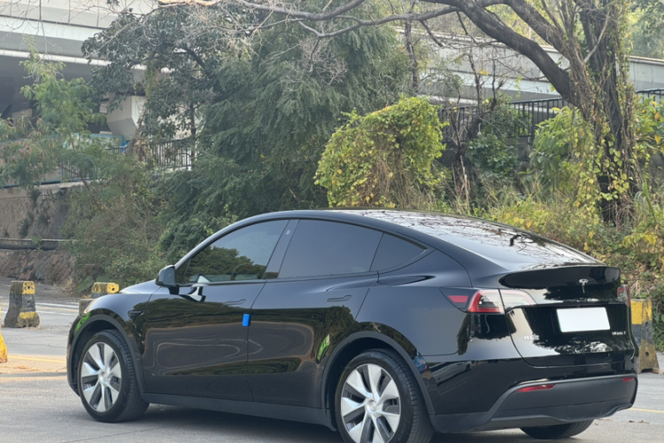 特斯拉 Model Y 2023 汽车图片 #9