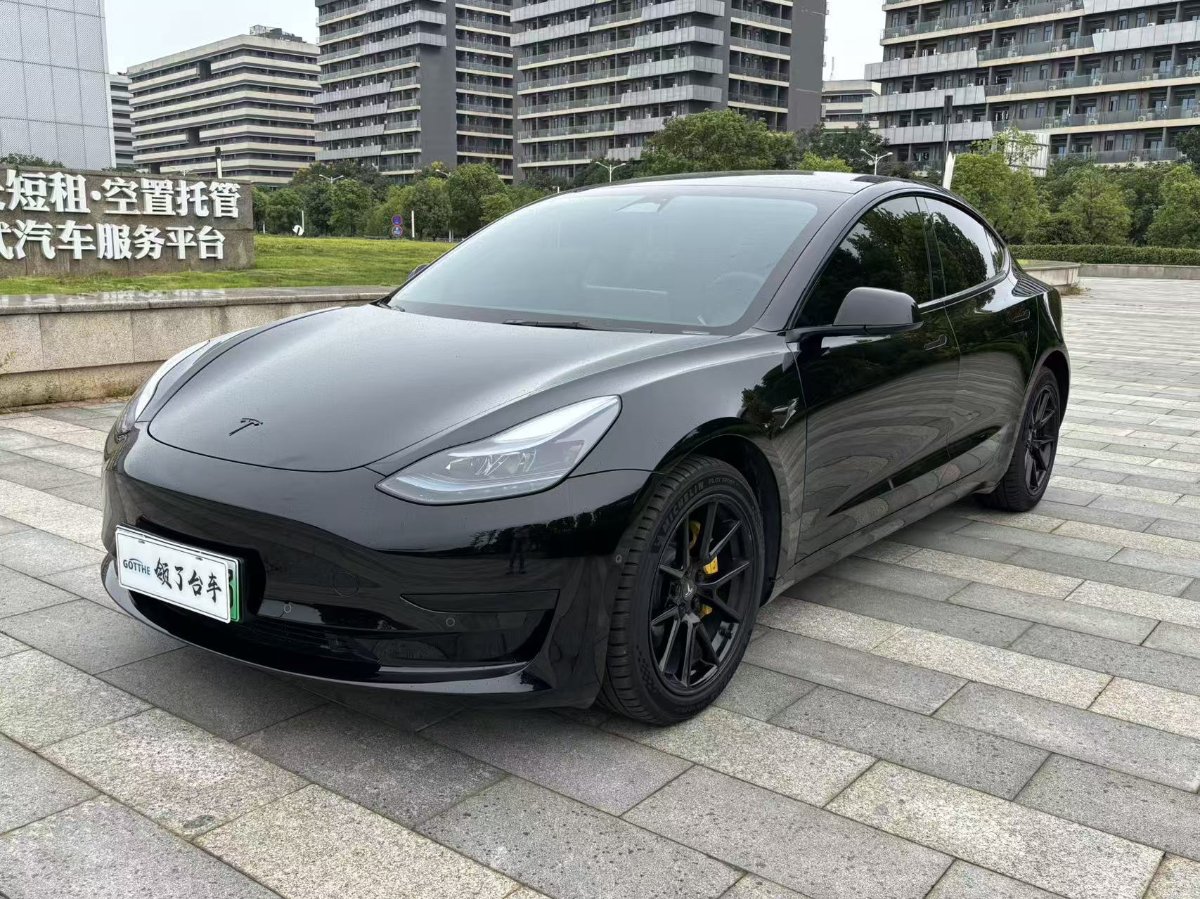 Tesla Model 3 2023 #2 Tesla Model 3 2023 car image #2