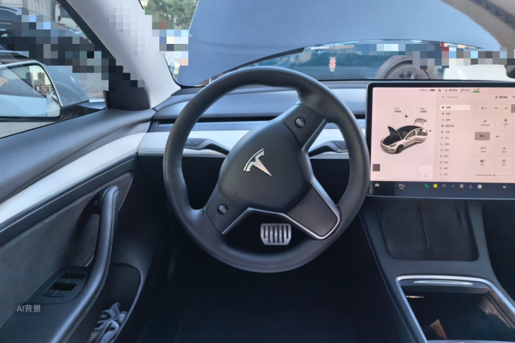 Tesla Model 3 2021 car image #12