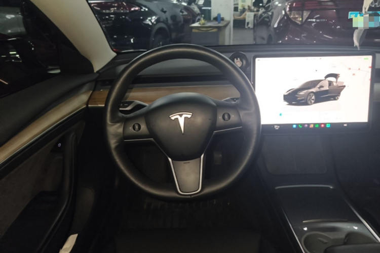 Tesla Model 3 2022 #11 Tesla Model 3 2022 car image #11