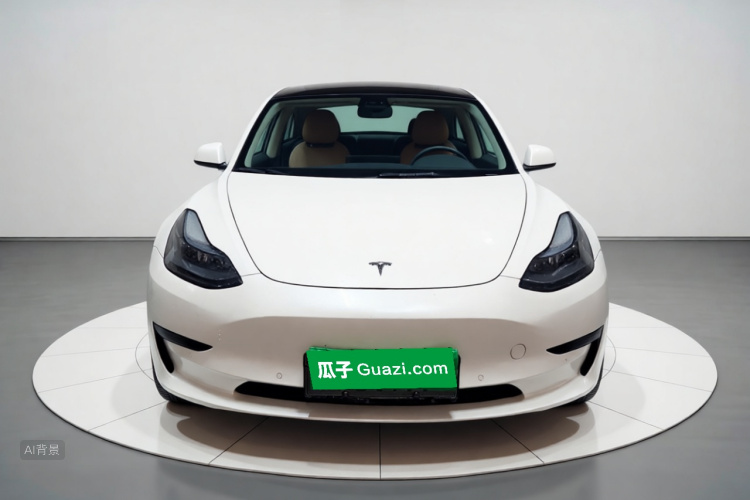 Tesla Model 3 2022 #3 Tesla Model 3 2022 car image #3