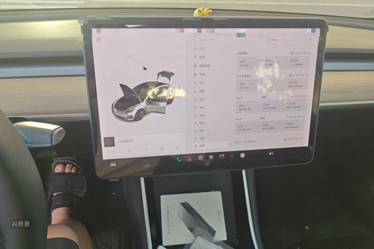 Tesla Model 3 2020 car image #14
