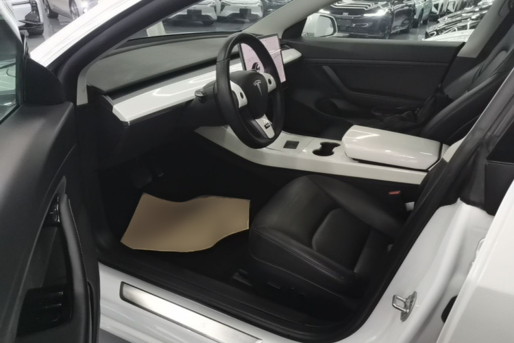 Tesla Model 3 2020 car image #16