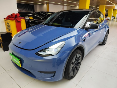 Tesla Model Y 2023 car image 