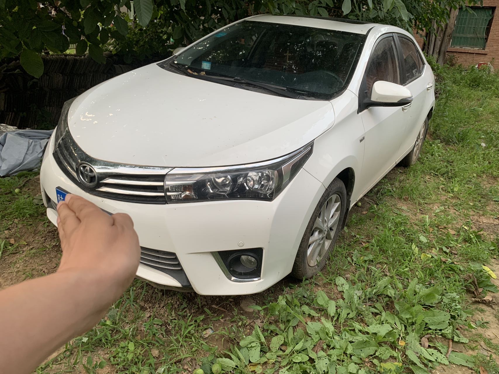 Toyota Corolla 2016 car image 