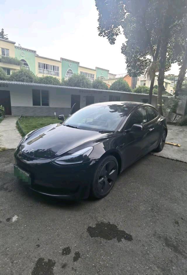 Tesla Model 3 2023 Tesla Model 3 2023 immagine di auto