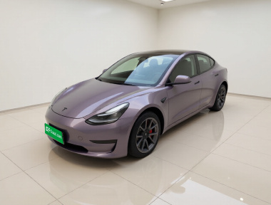 Tesla Model 3 2021 Tesla Model 3 2021 car image