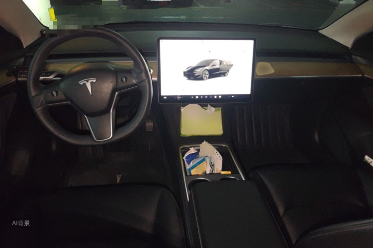 Tesla Model 3 2022 car image #11