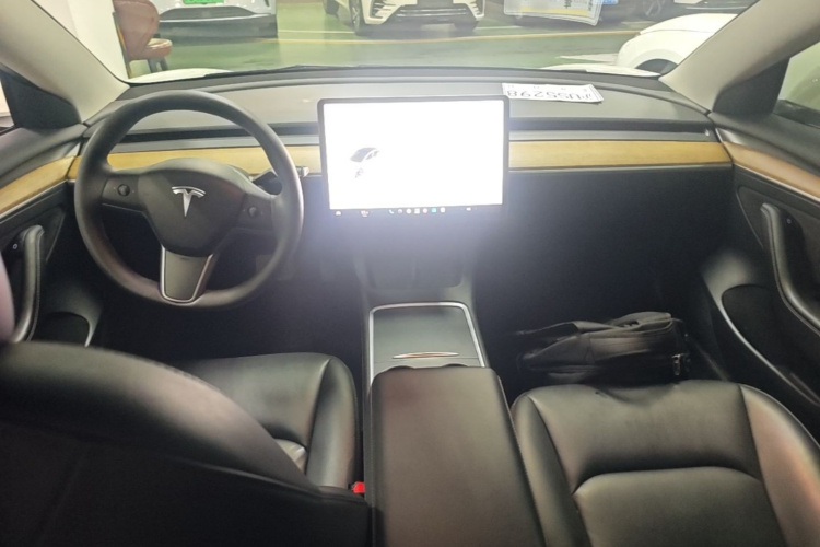 Tesla Model 3 2021 car image #10