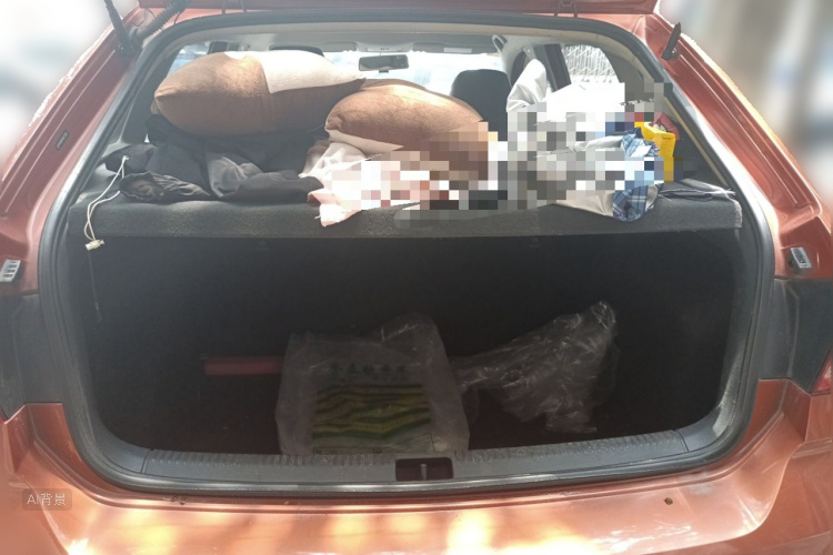 Volkswagen Santana 2018 car image #21