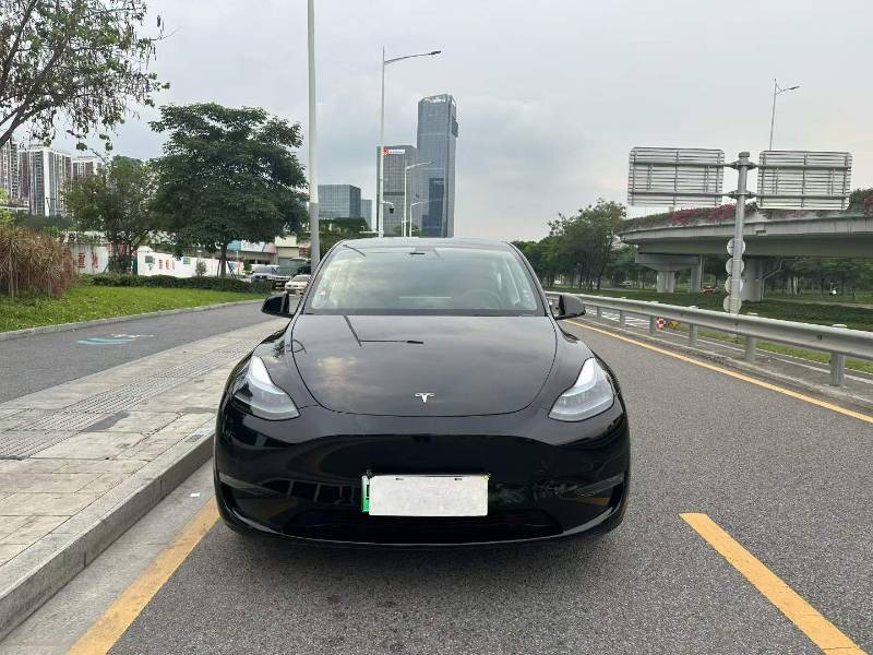 Tesla Model Y 2021 #2 Tesla Model Y 2021 car image #2