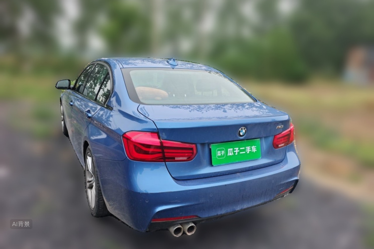 BMW 3 Series 2019 car image #5