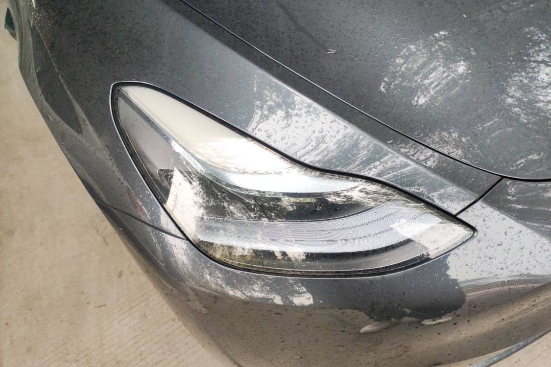 Tesla Model Y 2024 #7 Tesla Model Y 2024 صورة سيارة #7