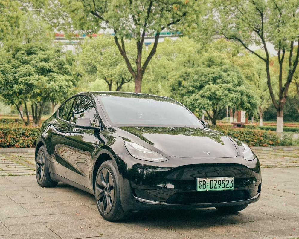 Tesla Model Y 2023 car image #3