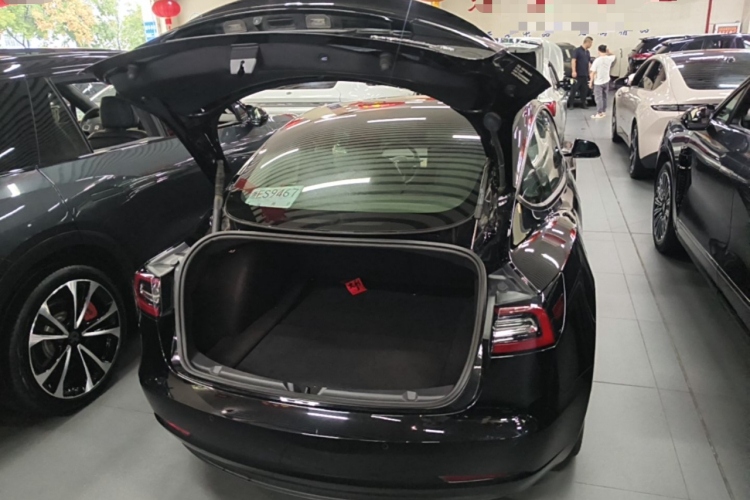 Tesla Model 3 2023 #19 Tesla Model 3 2023 car image #19