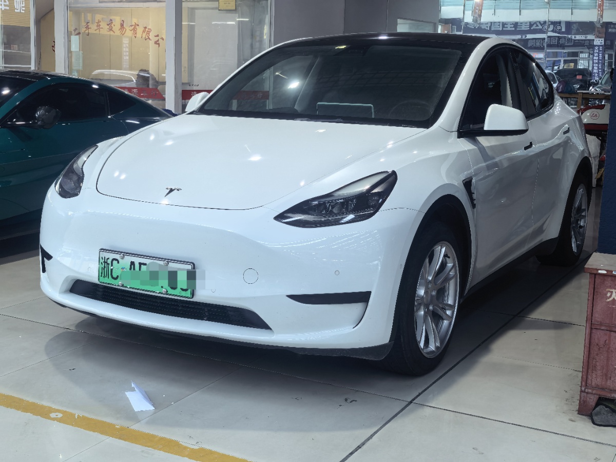Tesla Model Y 2023 Tesla Model Y 2023 car image