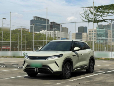 BYD YuanUP 2024 car image 