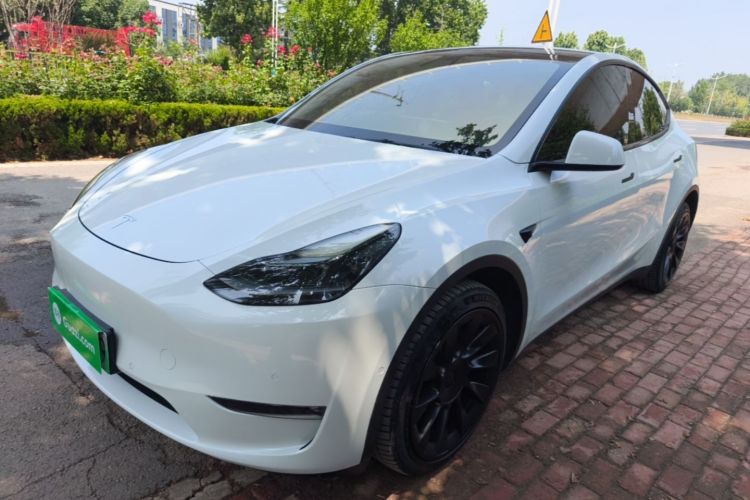 Tesla Model Y 2021 #2 Tesla Model Y 2021 car image #2