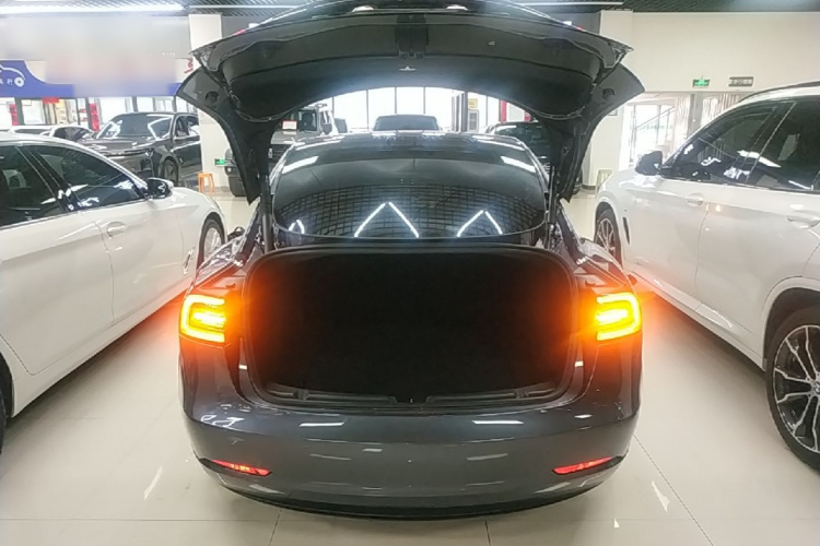 Tesla Model 3 2022 car image #19