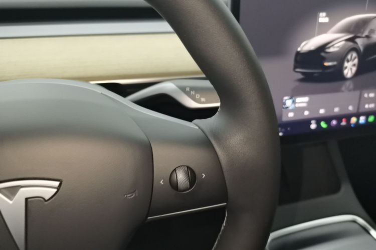 Tesla Model Y 2023 car image #14