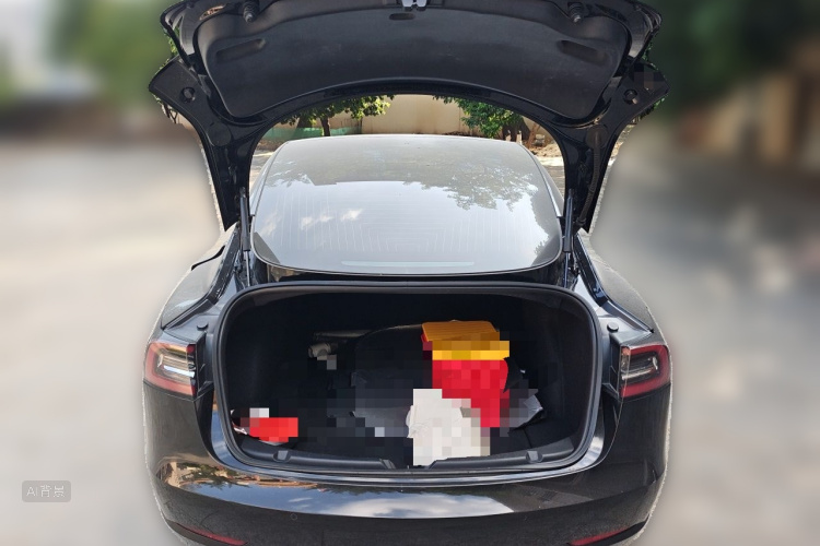 Tesla Model 3 2020 #21 Tesla Model 3 2020 car image #21