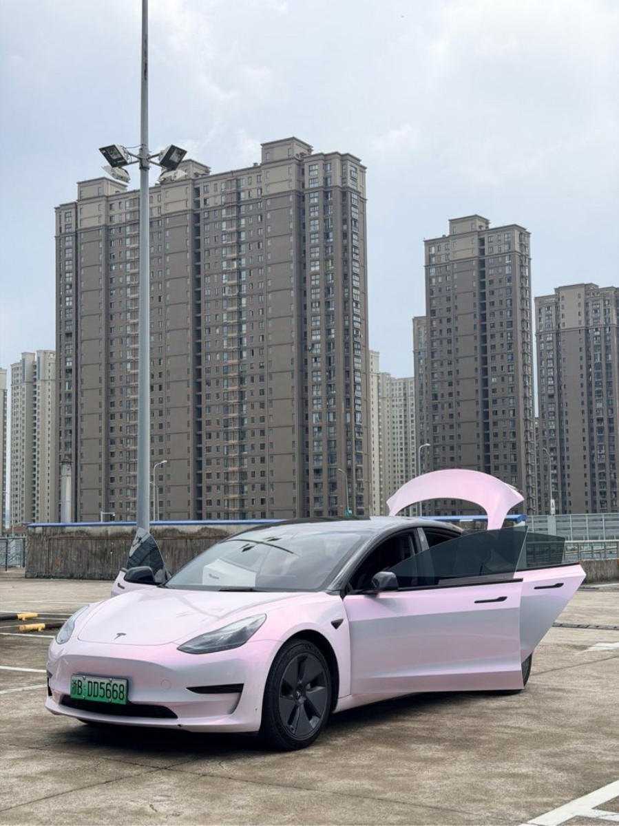 Tesla Model 3 2021 car image #5