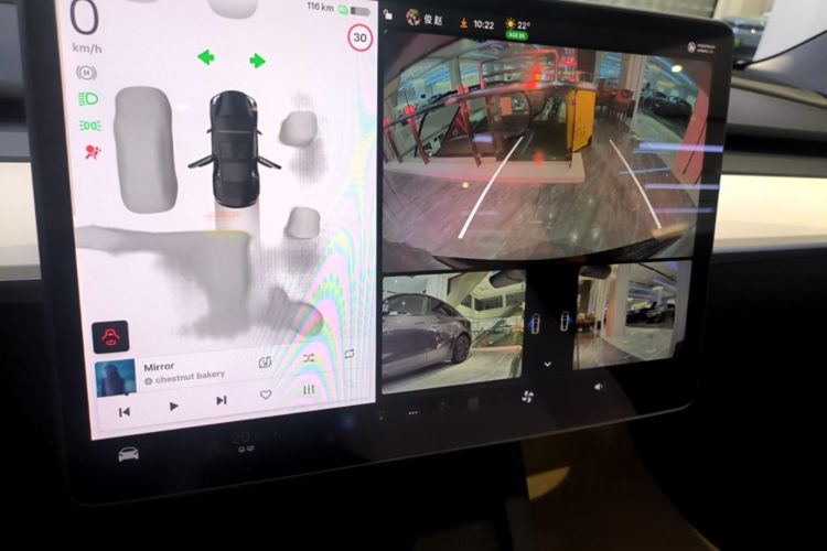 Tesla Model 3 2022 car image #13
