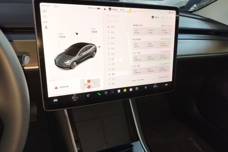 Tesla Model 3 2020 car image #13