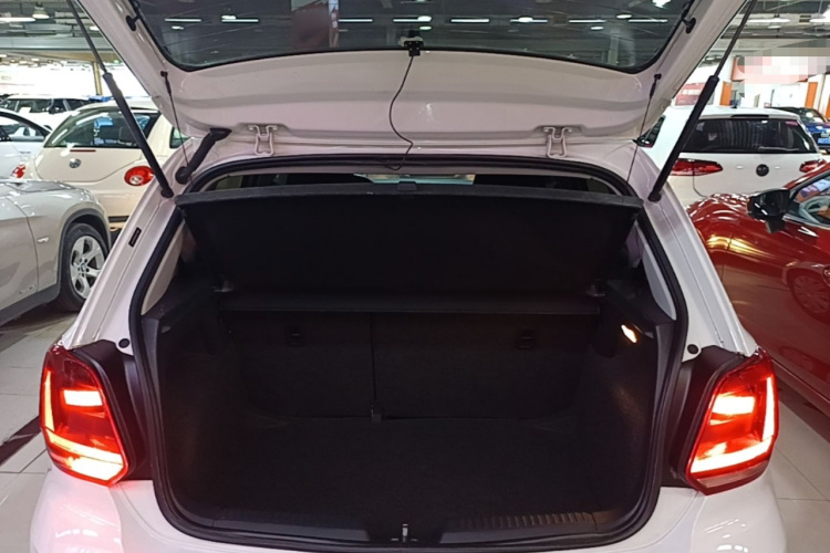 Volkswagen Polo 2016 car image #21