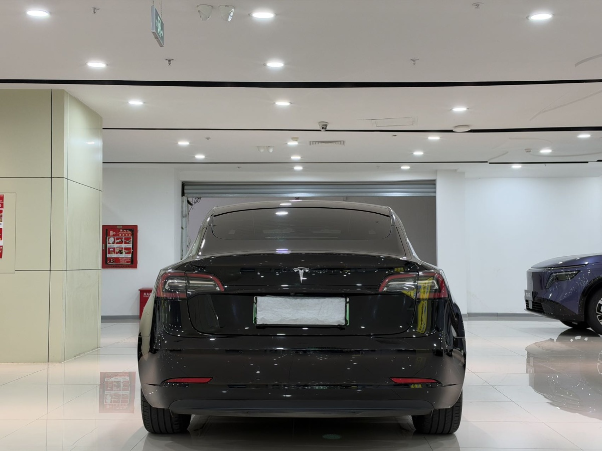 Tesla Model 3 2021 #8 Tesla Model 3 2021 immagine di auto #8