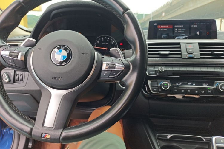 BMW 3 Series 2019 car image #10