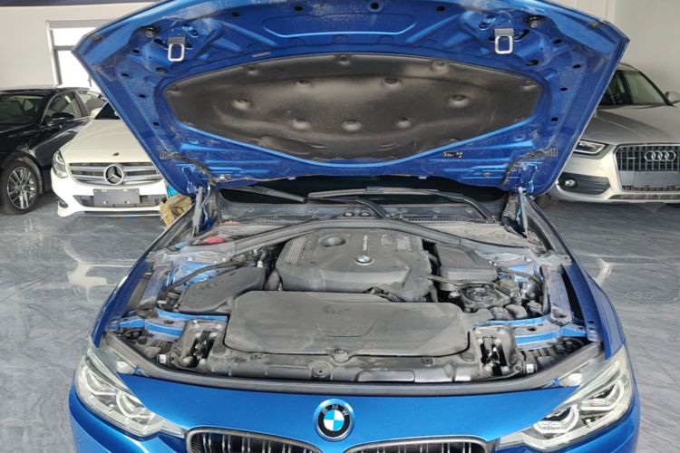 BMW 3 Series 2017 car image #20