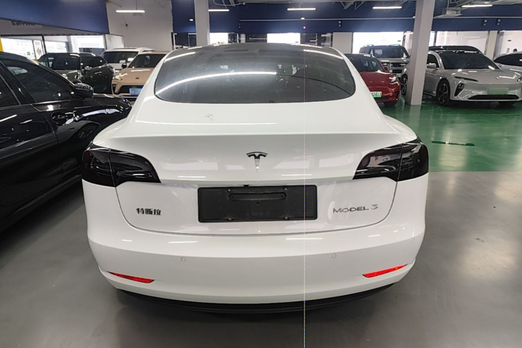 Tesla Model 3 2022 car image #6