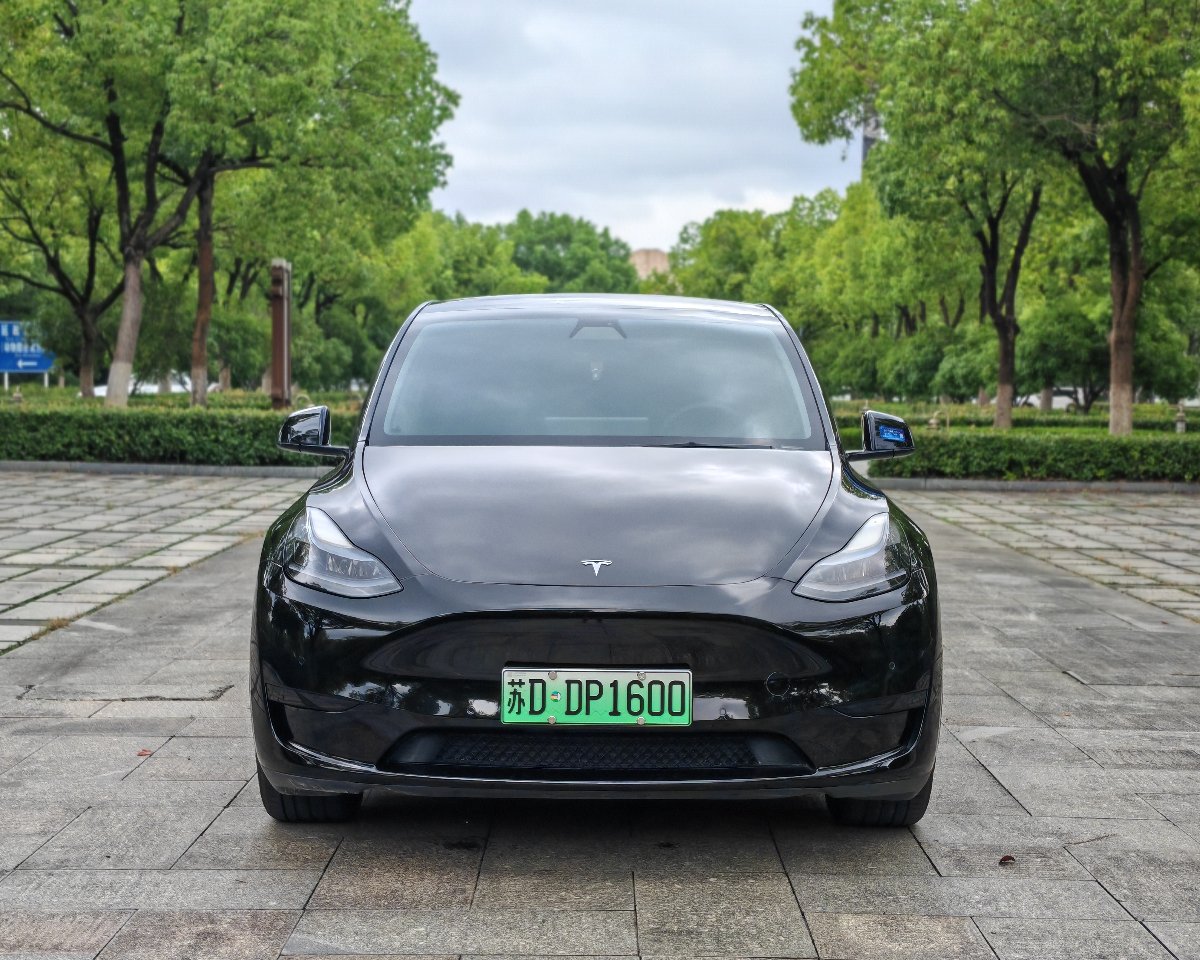 Tesla Model Y 2022 #4 Tesla Model Y 2022 car image #4