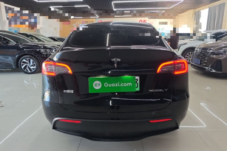 Tesla Model Y 2021 car image #6