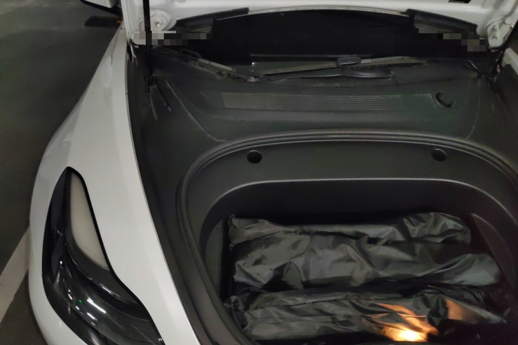 Tesla Model 3 2021 #26 Tesla Model 3 2021 car image #26