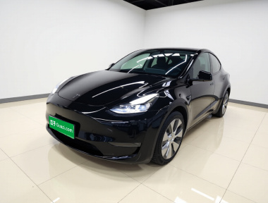 Tesla Model Y 2023 Tesla Model Y 2023 car image