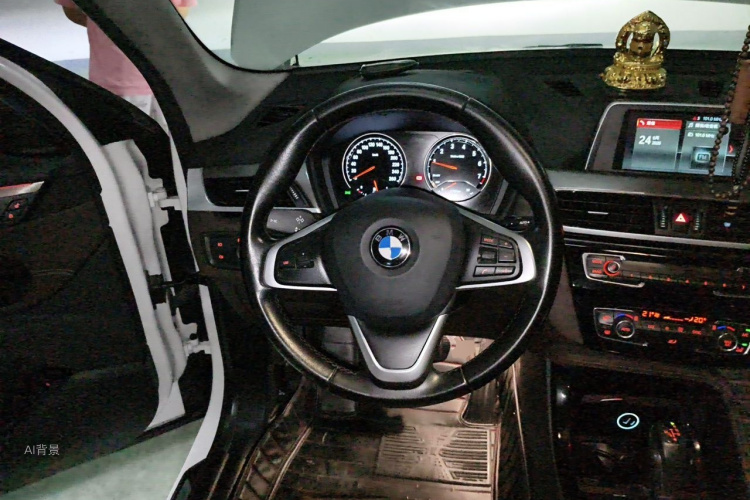 BMW X1 2019 car image #12