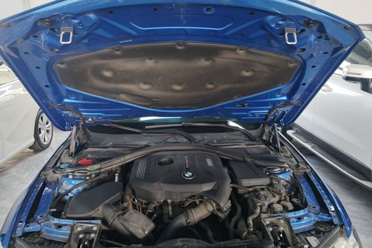 BMW 3 Series 2017 car image #20
