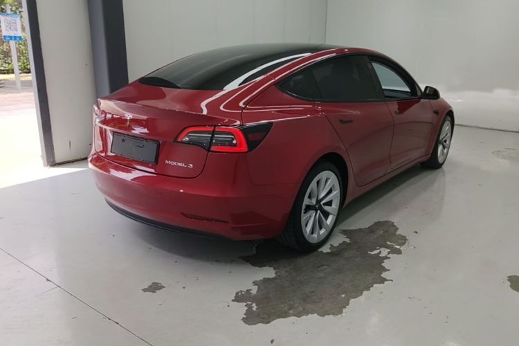 Tesla Model 3 2021 #5 Tesla Model 3 2021 car image #5