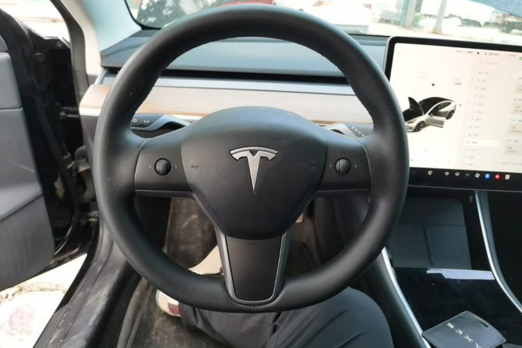 Tesla Model 3 2020 car image #11