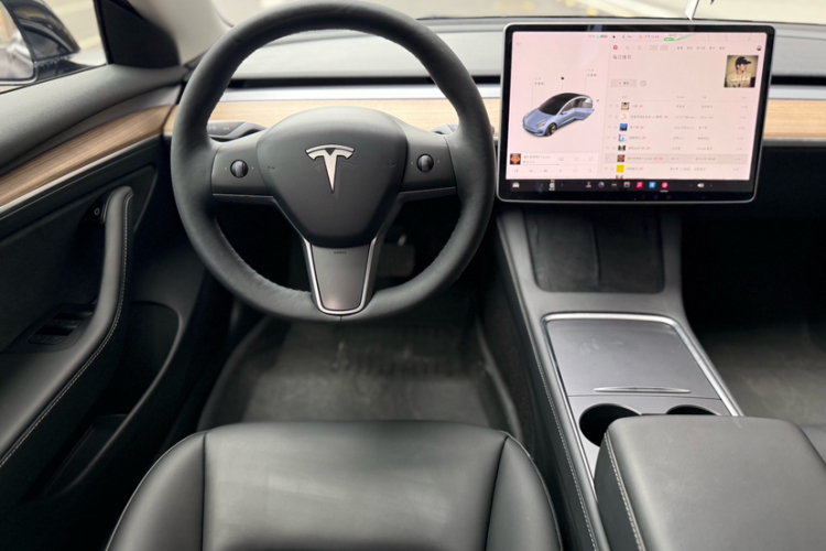 Tesla Model 3 2021 immagine di auto #8