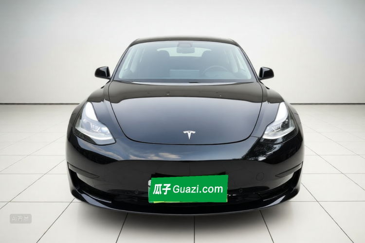 Tesla Model 3 2021 #3 Tesla Model 3 2021 car image #3