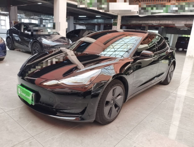 Tesla Model 3 2023 Tesla Model 3 2023 car image