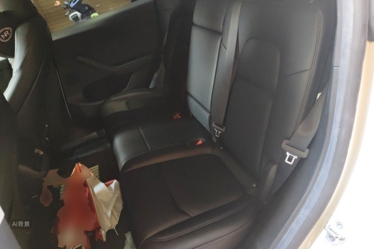 Tesla Model Y 2023 car image #19