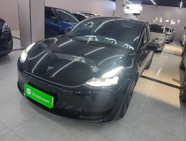 Tesla Model 3 2021 Tesla Model 3 2021 car image