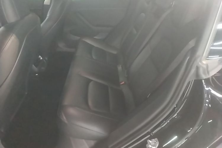 Tesla Model 3 2020 car image #17